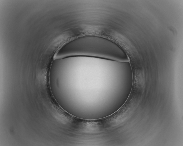 X0000110720501200906191509