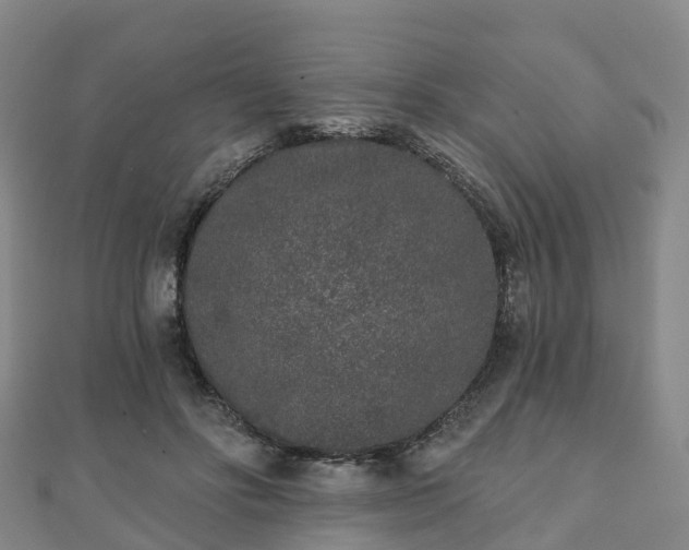 X0000110720502200906191509