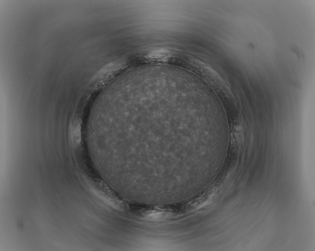 X0000110720504200906191509