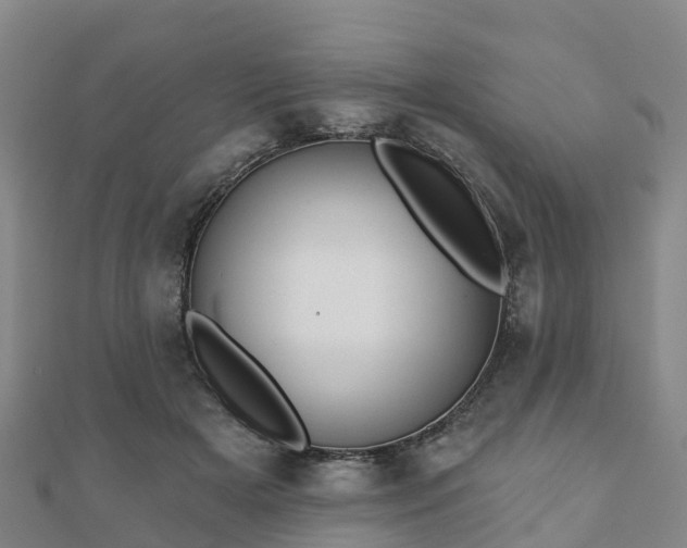X0000110720505200906191509