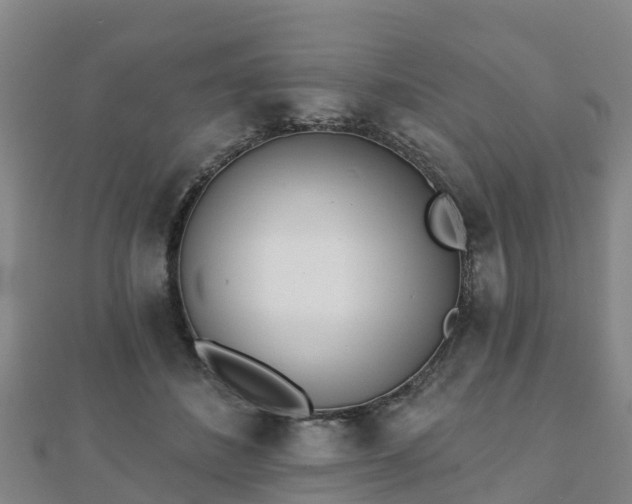 X0000110720508200906191508