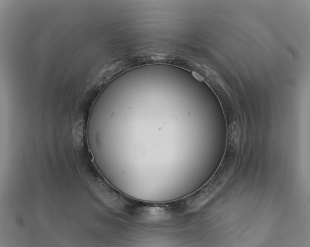 X0000110720509200906191508