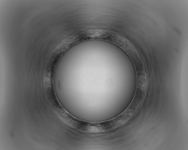 X0000110720510200906191508