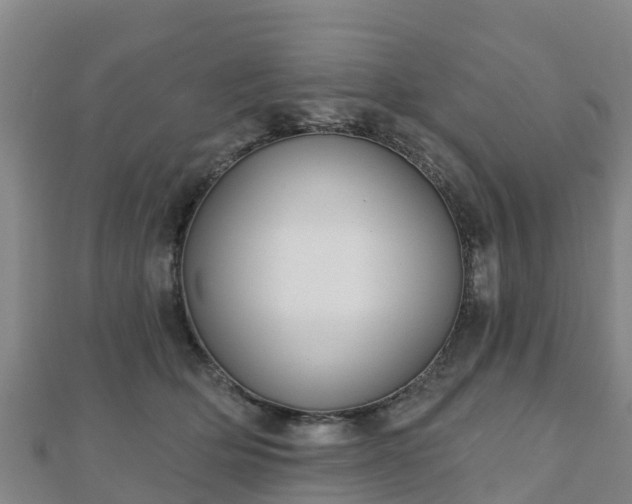 X0000110720514200906191508