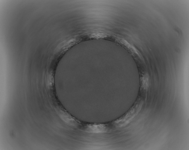 X0000110720517200906191508