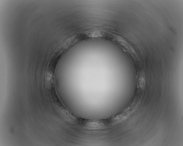 X0000110720521200906191508