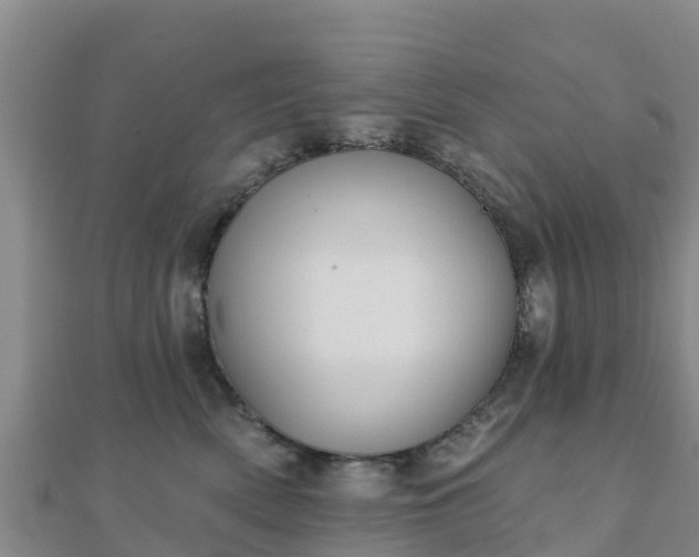 X0000110720522200906191508