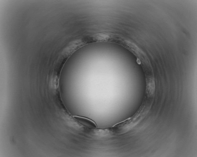 X0000110720525200906191508