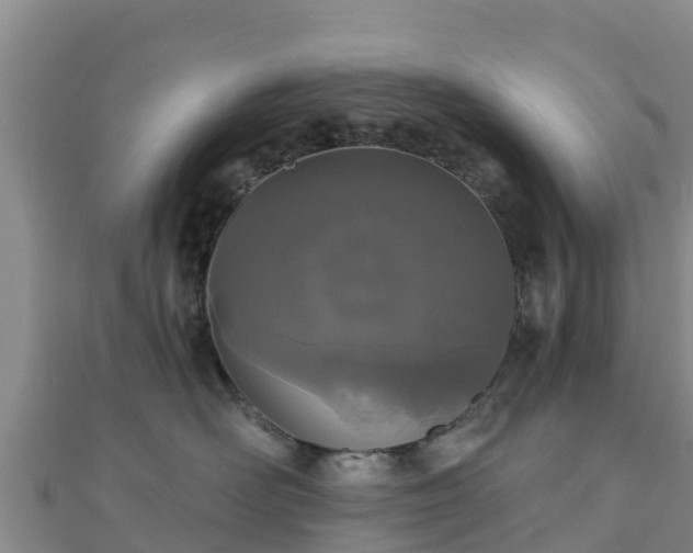 X0000110720526200906191508