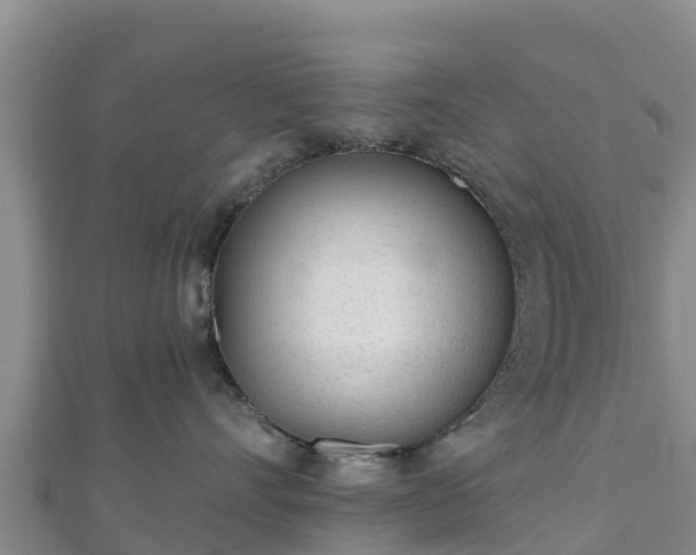 X0000110720528200906191508