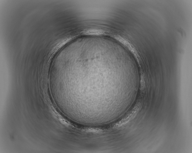 X0000110720529200906191508