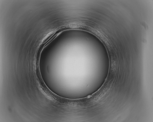 X0000110720530200906191508