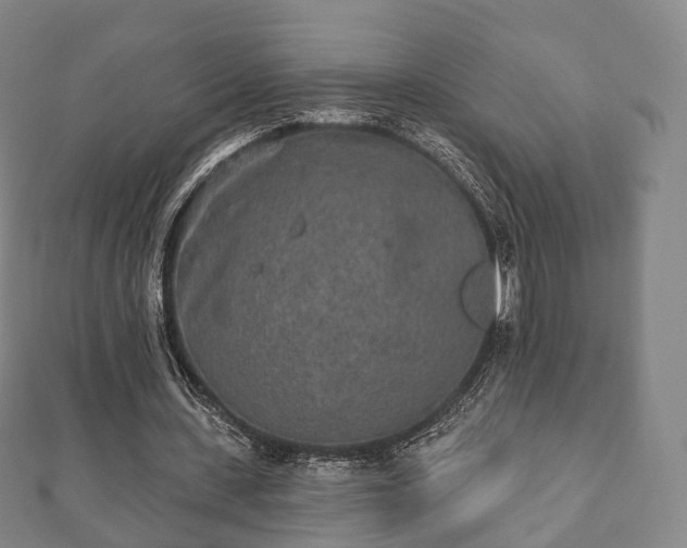 X0000110720531200906191508