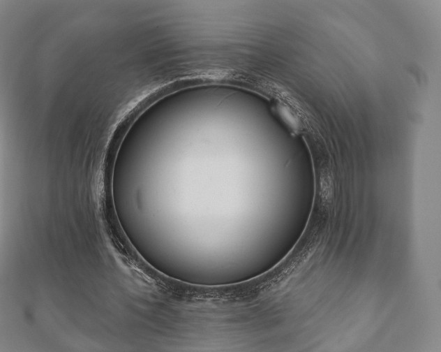 X0000110720532200906191508