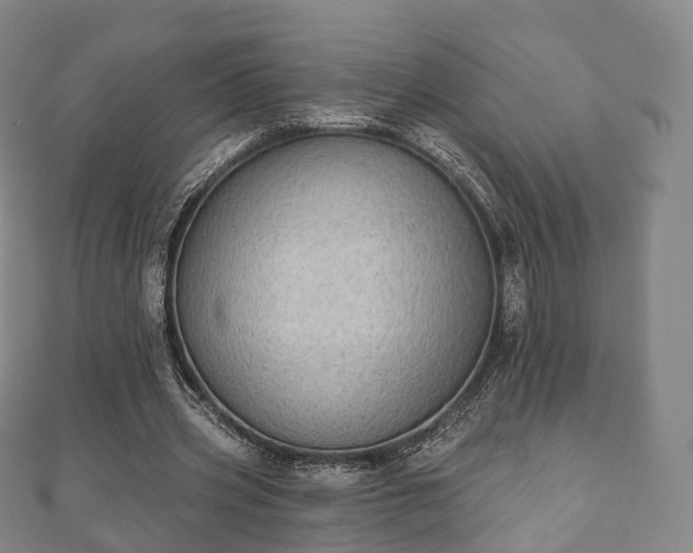 X0000110720533200906191508