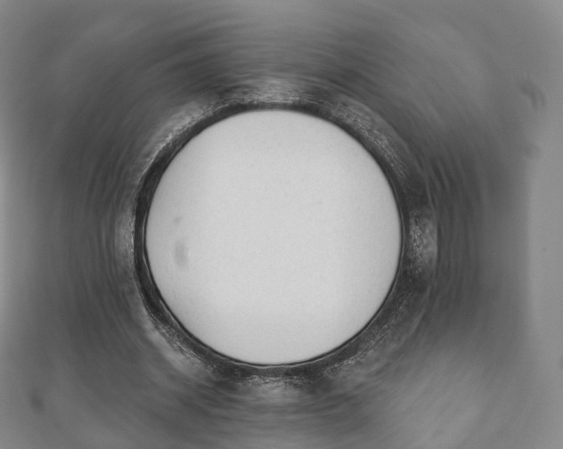 X0000110720534200906191508