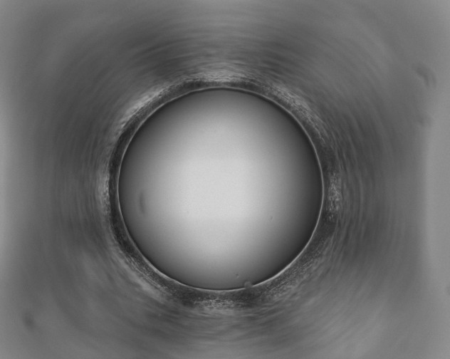 X0000110720535200906191508