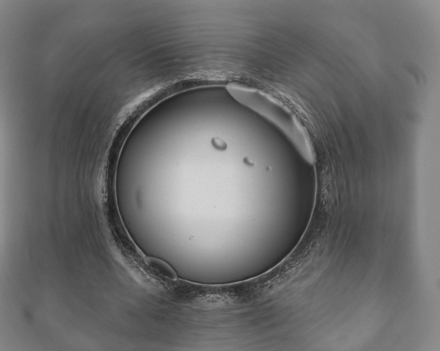 X0000110720536200906191508