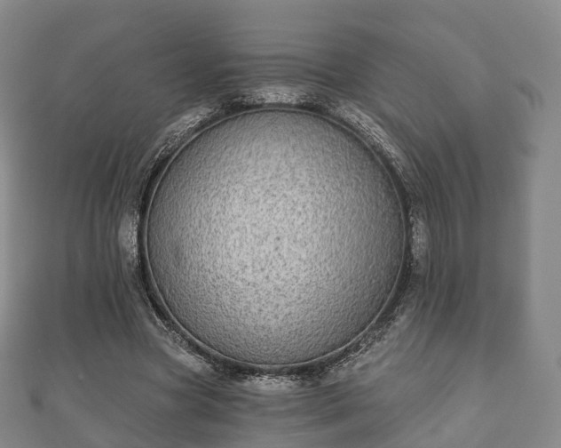 X0000110720537200906191508