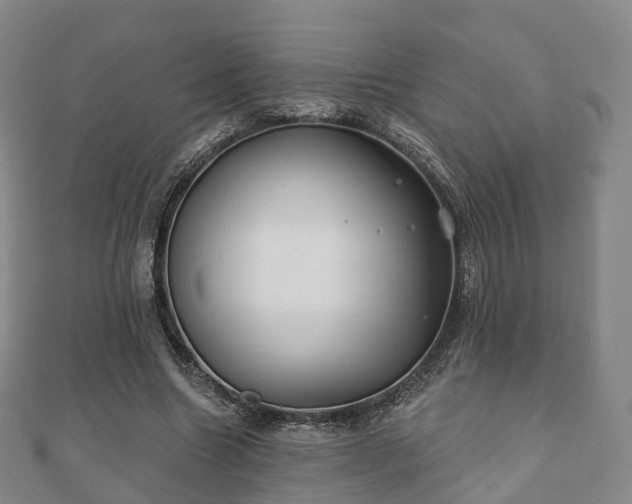 X0000110720538200906191508