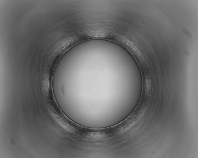 X0000110720541200906191508