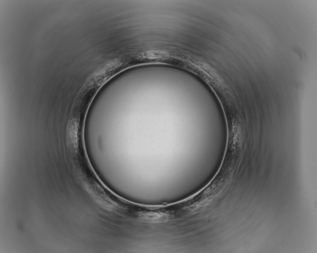 X0000110720542200906191508