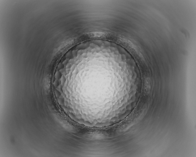 X0000110720545200906191508