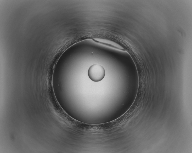 X0000110720546200906191508