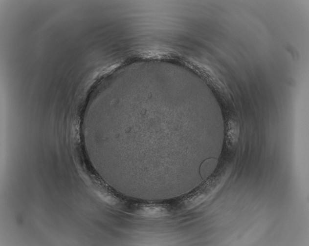 X0000110720547200906191508