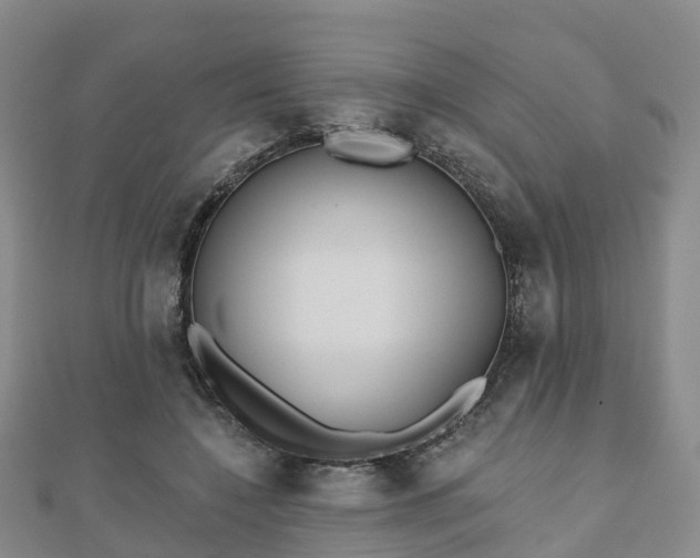 X0000110720548200906191508