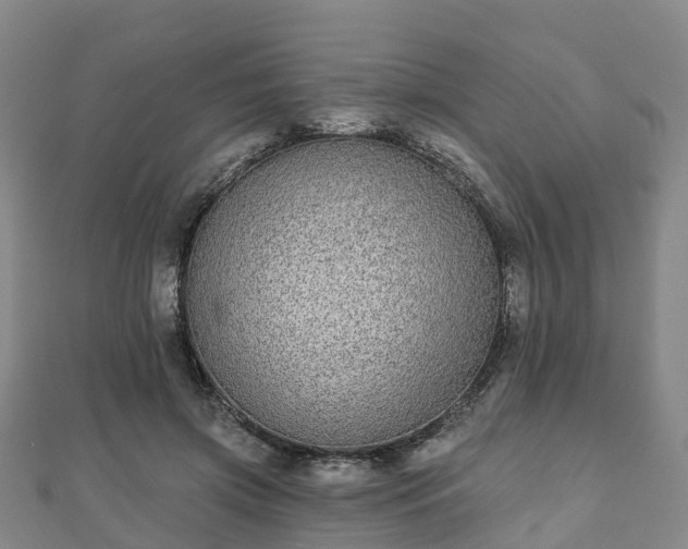 X0000110720549200906191508