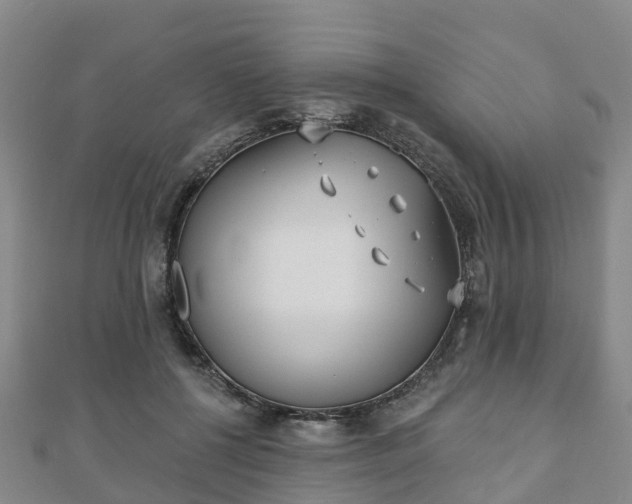 X0000110720552200906191508