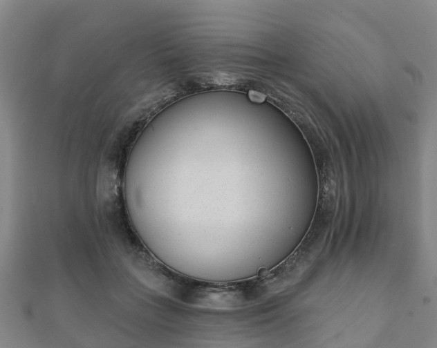 X0000110720555200906191508