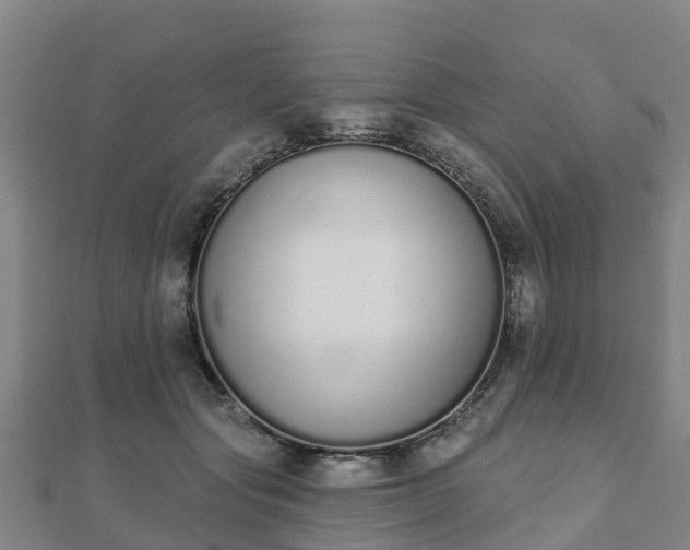 X0000110720557200906191508
