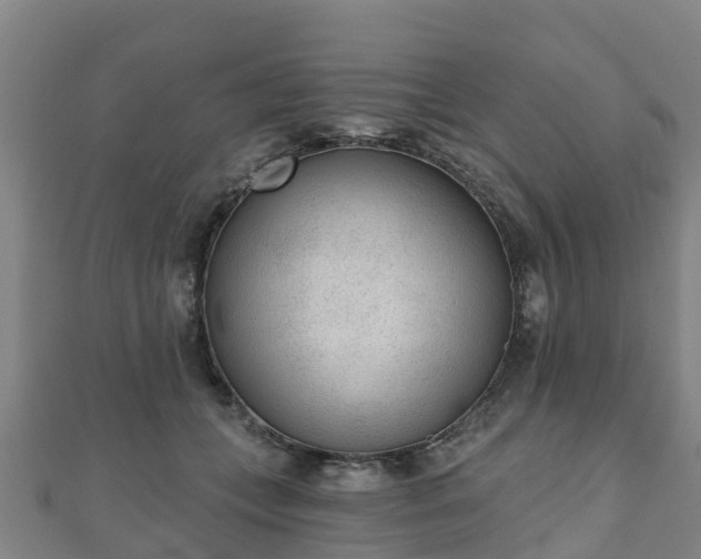 X0000110720559200906191508