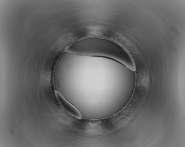 X0000110720560200906191508