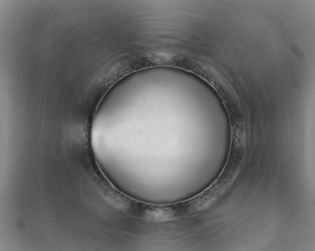 X0000110720561200906191508