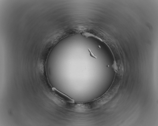 X0000110720562200906191508