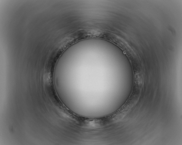 X0000110720564200906191508