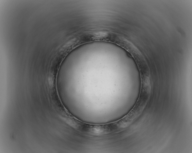 X0000110720565200906191508