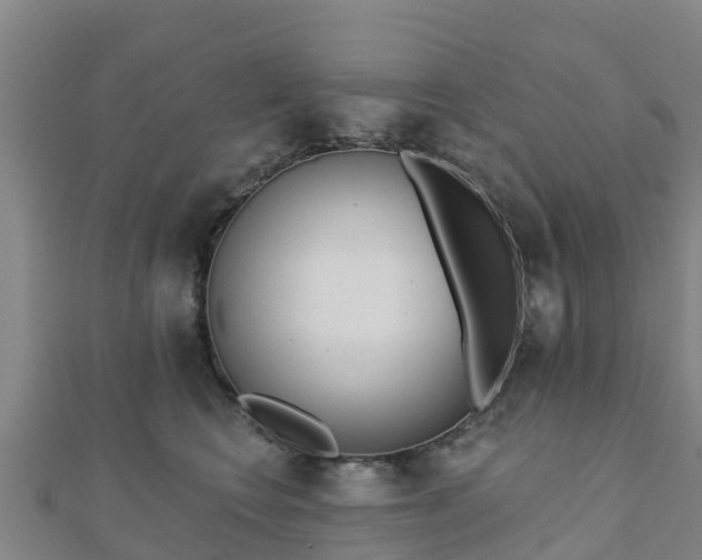 X0000110720566200906191508
