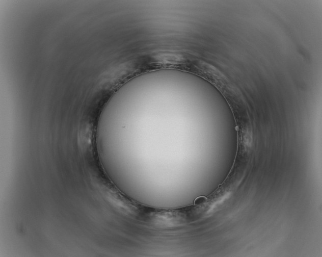 X0000110720567200906191508