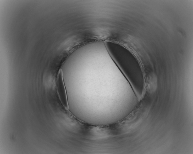 X0000110720568200906191508