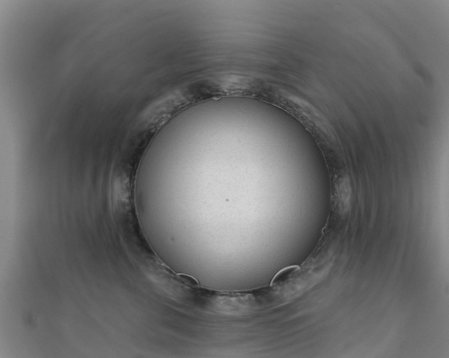 X0000110720571200906191508