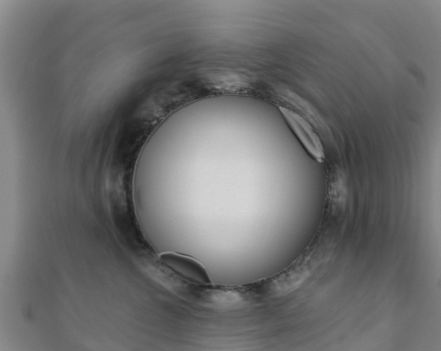X0000110720572200906191508