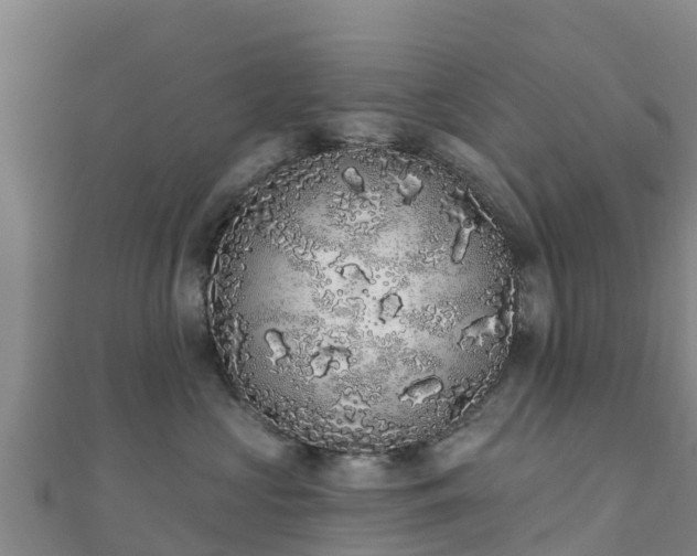 X0000110720573200906191508