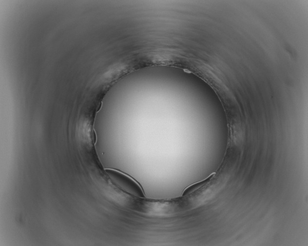 X0000110720575200906191508