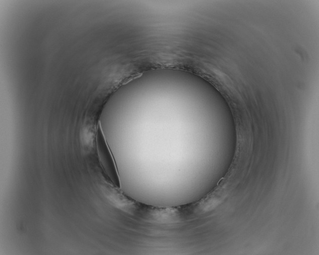 X0000110720576200906191508