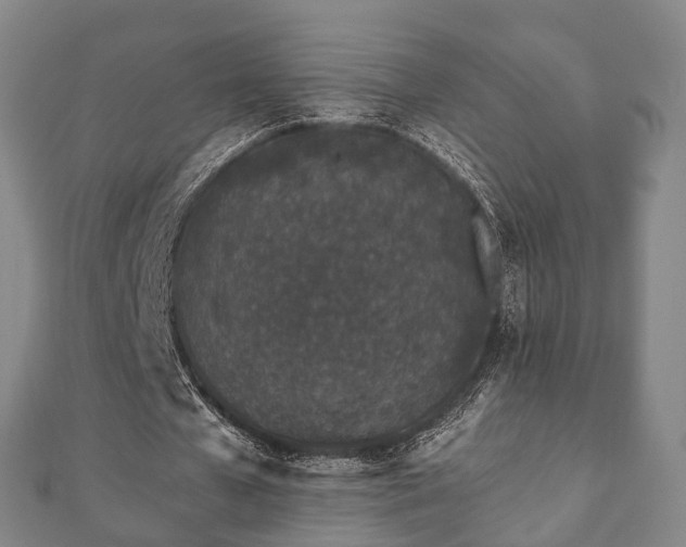 X0000110720577200906191508