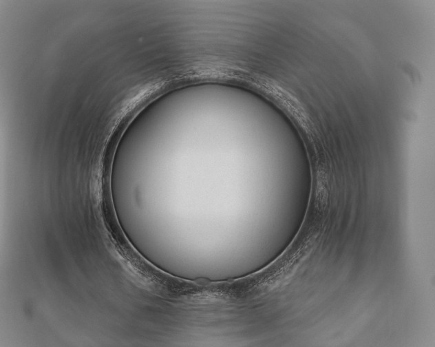 X0000110720578200906191508